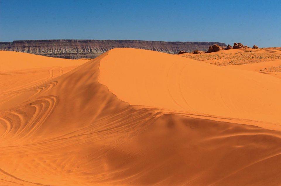 Utah Sand Dunes