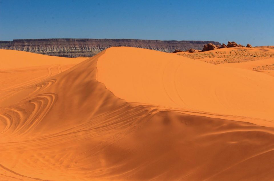 Utah Sand Dunes